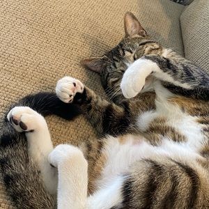 Meet your Posher, Mercy wean